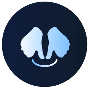 PinnacleDuoFlex_Shiatsu